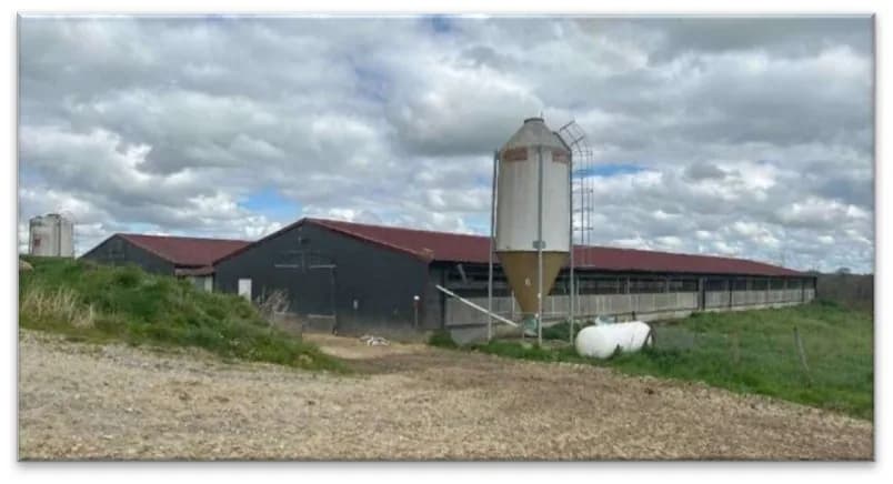 Vue de la charpente métallique existante étudiée