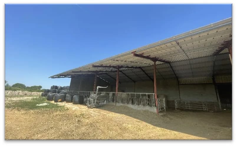 Vue de la structure métallique existante étudiée