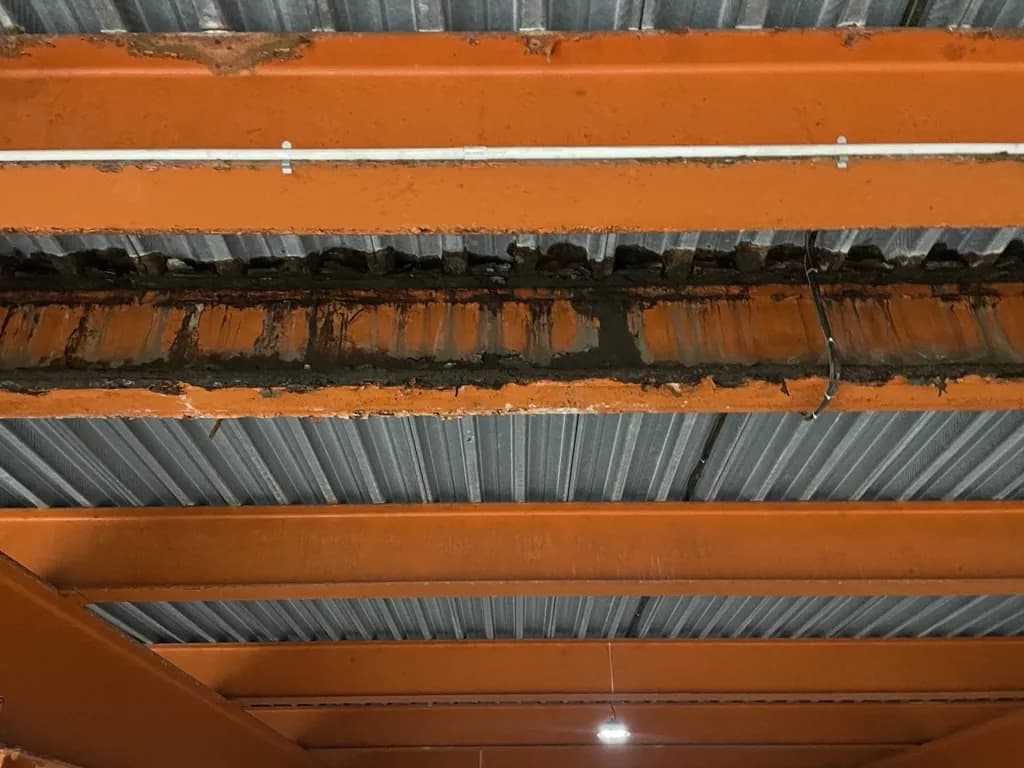 Solive métallique présentant une corrosion et une perte de matière